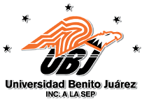 elearning-ubjamozoc